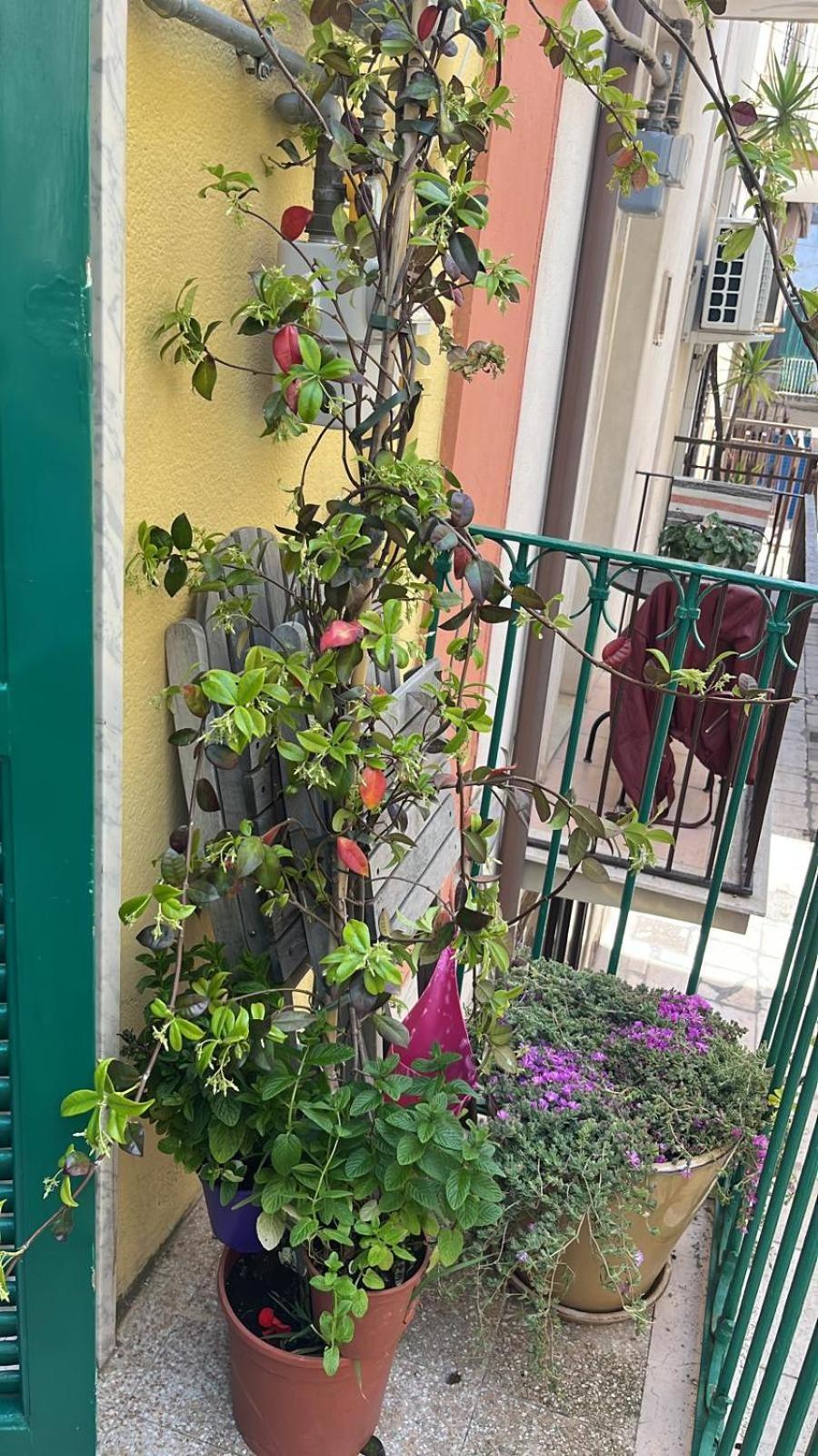 Willa La Casa Di Nonna Sisina Mola di Bari Zewnętrze zdjęcie