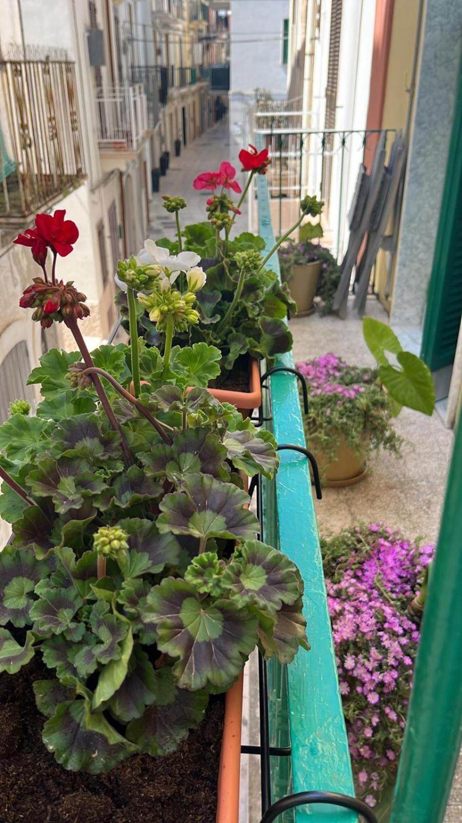 Willa La Casa Di Nonna Sisina Mola di Bari Zewnętrze zdjęcie