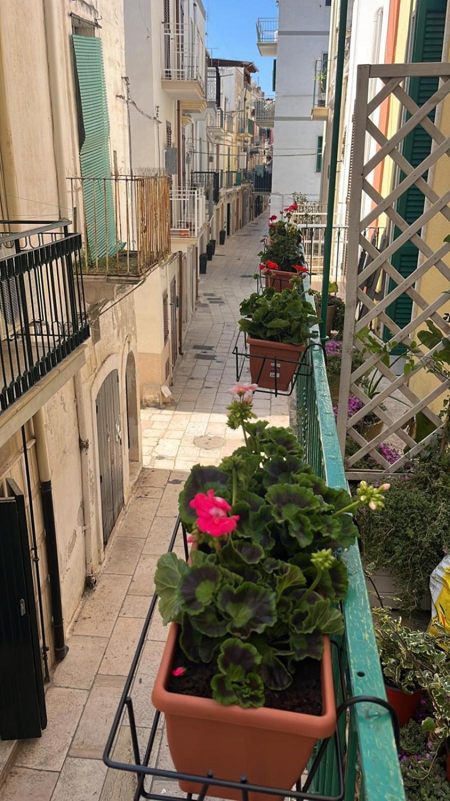 Willa La Casa Di Nonna Sisina Mola di Bari Zewnętrze zdjęcie